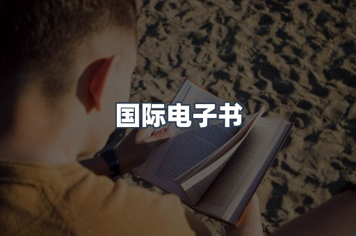 国际电子书